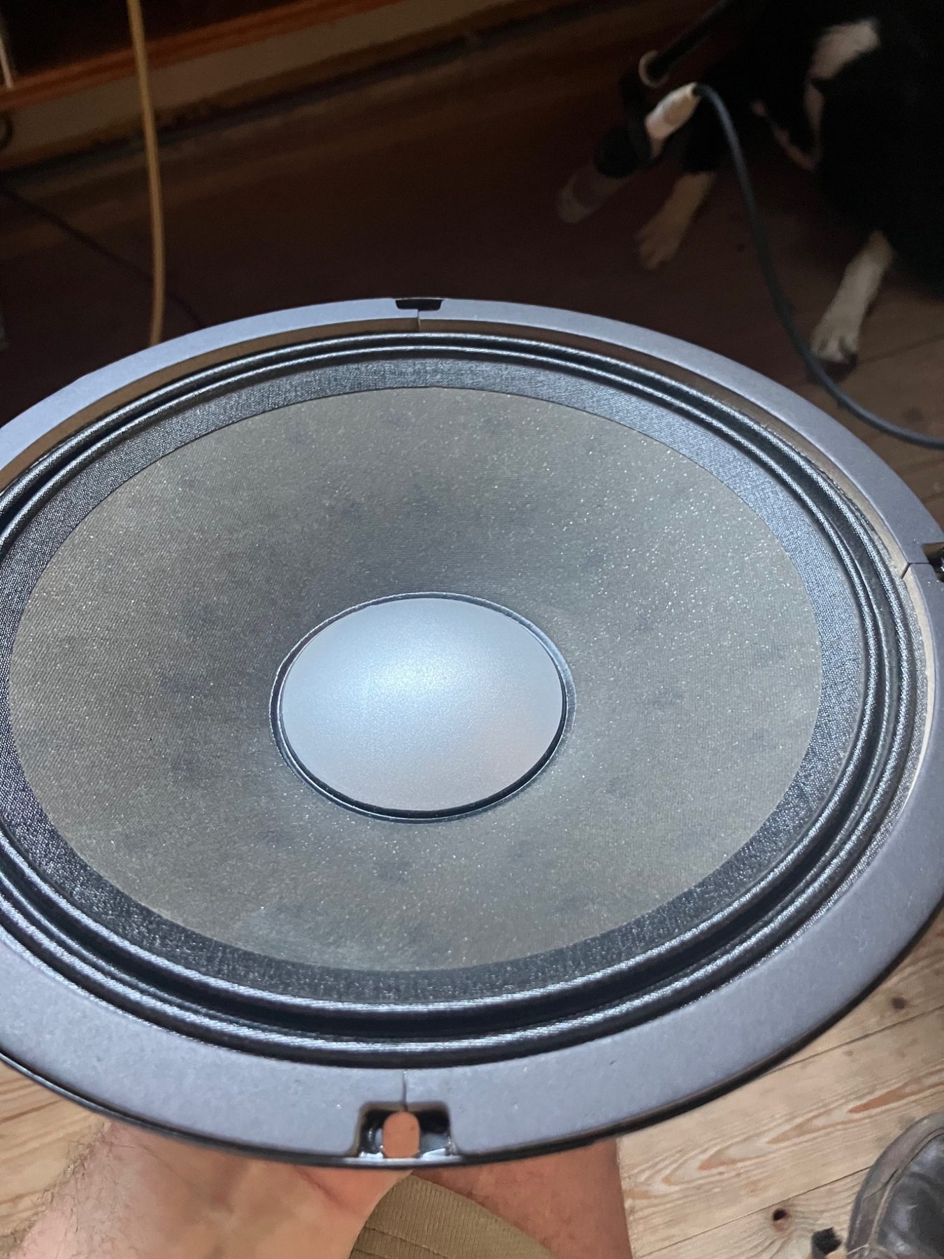 Detail van de conus van een Roland 10 inch speaker