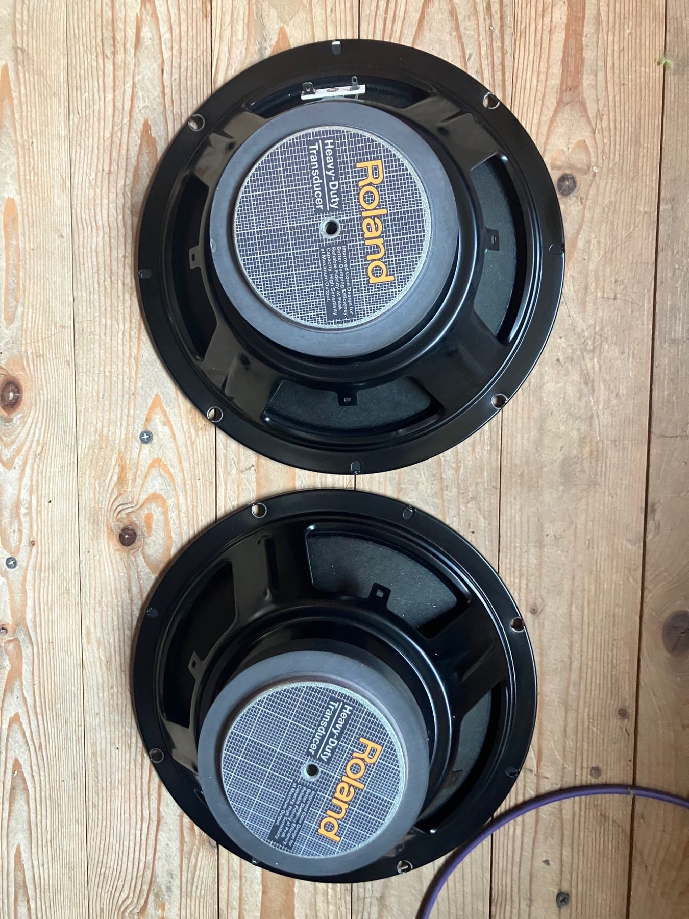 Achterzijde van twee Roland 10 inch speakers