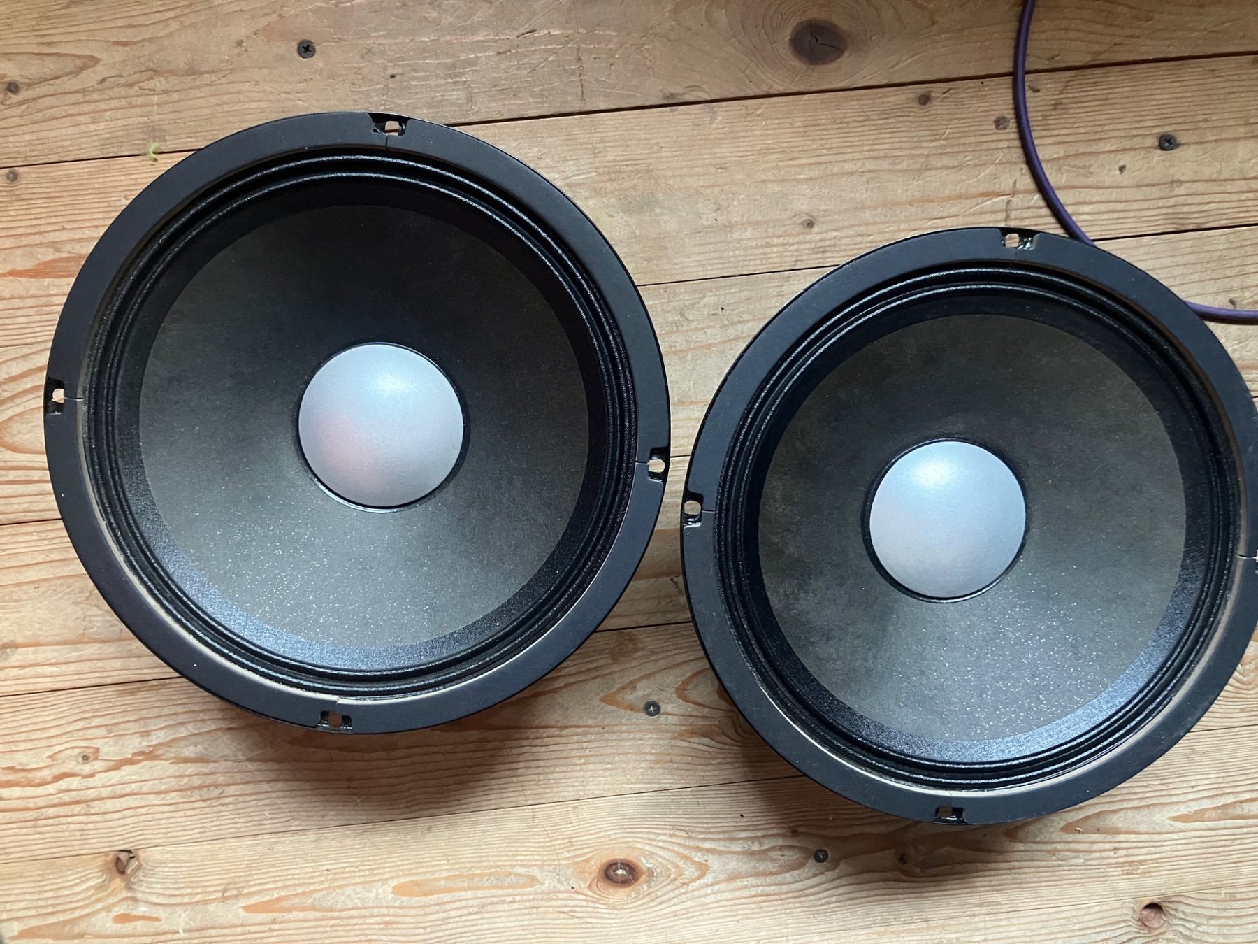 Twee Roland 10 inch speakers voorzijde